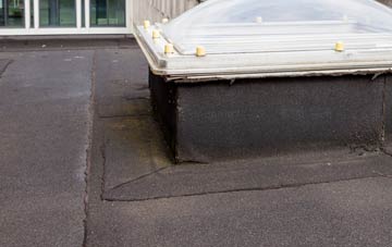 disadvantages of Fforest flat roofs